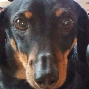 Meet your Posher, Gail